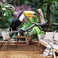 Флизелиновые 3д фотообои 312x219 см Птицы Тукан Экзотические Джунгли (12222VEXXL) +клей