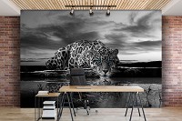 Флизелиновые 3д фото обои 368x254 см Голубоглазый ягуар (12365V8)+клей