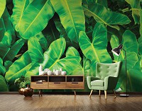 Флизелиновые фотообои 368x280 см Ботанические 3Д Большие зеленые листья (12371V10) +клей