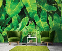 Флизелиновые фотообои 416x254 см Ботанические 3Д Большие зеленые листья (12371VEXXXL) +клей