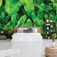Флизелиновые фотообои 520x318 см Ботанические 3Д Большие зеленые листья (12371VEXXXXXL) +клей