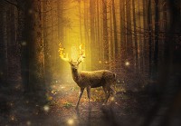 Флизелиновые 3д фотообои природа лес животные 368x254 см Олень в лучах заходящего солнца (12520V8) +клей - вид 1 миниатюра