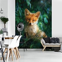 Флізелінові 3Д фото шпалери 184x254 см Лисиця у траві (12522V4A)+клей