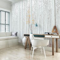 Флизелиновые фотообои природа 254x184 см Вид на белый березовый лес (12593V4)+клей