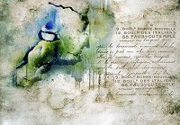 Флізелінові фотошпалери під старовину 416x254 см Художній абстрактний акварельний птах (12596VEXXXL) +клей - вид 1 мініатюра