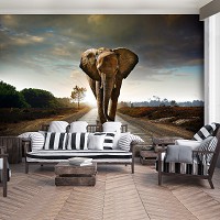 Флизелиновые фотообои 254x184 см 3D Слон на дороге Природа Ландшафт Животные (12616V4)+клей