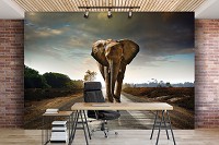 Флизелиновые фотообои на стену 312x219 см 3D Слон на дороге Природа Ландшафт Животные (12616VEXXL)+клей