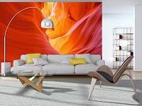 Природа фото обои 368x254 см 3D Пещера Скала Каньон Антилопы 12629P8+клей