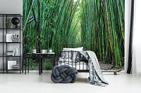 Флізелінові фотошпалери з природою 368x254 см 3D Доріжка у тропічному бамбуковому лісі (12632V8) +клей - вид 8 мініатюра