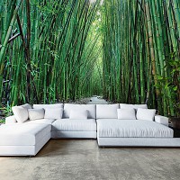 Флізелінові фотошпалери природа 368x280 см 3D Доріжка у тропічному бамбуковому лісі (12632V10) +клей