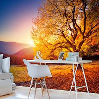 Флизелиновые 3д фотообои в коридор природа пейзаж ландшафт 416x290 см Осеннее дерево на закате (12640VEXXXXL) +клей