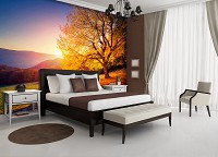 Флизелиновые 3д фотообои на всю стену природа пейзаж ландшафт 312x219 см Осеннее дерево на закате (12640VEXXL) +клей