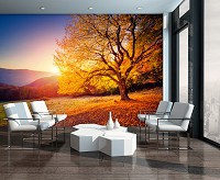 Флизелиновые 3д фотообои на всю стену природа пейзаж ландшафт 416x254 см Осеннее дерево на закате (12640VEXXXL) +клей