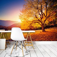 Флізелінові фотошпалери Осіннє дерево на стіну 254x184 см 3D Природа Ландшафт (12640V4)+клей - вид 8 мініатюра