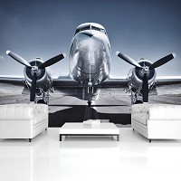 Флизелиновые фото обои 3D Транспорт Аэропорт Небо Пропеллеры 254x184 см Самолет на взлетной полосе (12644V4)+клей