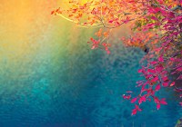 Флизелиновые фото обои дерево 312x219 см Осенние листья над водою (12647VEXXL)+клей - вид 1 миниатюра