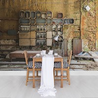 Флизелиновые фотообои под старину 254x184 см Старая электрощитовая (12656V4)+клей