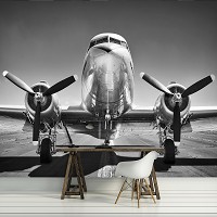Флизелиновые фото обои 368x254 см 3D Черно-белый самолет на взлетной полосе (12675V8)+клей