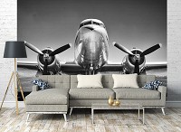 Флізелінові фото шпалери 368x254 см 3D чорно-білий літак на злітній смузі (12675V8)+клей - вид 7 мініатюра