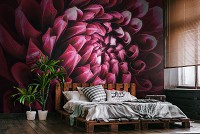 Флизелиновые фотообои 312x219 см Темно-красный цветок георгины (12710VEXXL) +клей