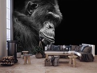 Красивые флизелиновые 3д фотообои животные 416x254 см Черно-белая шимпанзе (12713VEXXXL) +клей