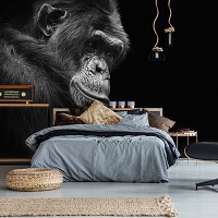 Флизелиновые фотообои с природой Черно-белая шимпанзе Животные Фотография Обезьяна (12713V)+клей - вид 8 миниатюра
