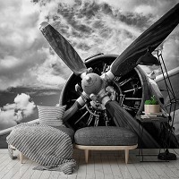 Флизелиновые 3д фотообои 416x254 см Черно-белый самолет с пропеллером (12714VEXXXL) +клей