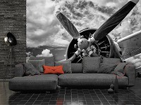 Флизелиновые 3д фотообои облака 368x280 см Черно-белый самолет с пропеллером (12714V10) +клей