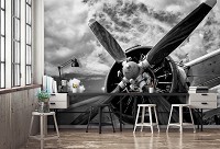 Красивые флизелиновые 3д фотообои на кухню 368x254 см Черно-белый самолет с пропеллером (12714V8) +клей