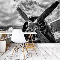 Флізелінові фотошпалери з літаком 254x184 см Чорно-білий пропелер (12714V4)+клей - вид 8 мініатюра