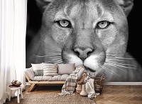 Флизелиновые фото обои животные 254x184 см Черно-белая львица (12718V4)+клей