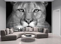 Флизелиновые фото обои животные 254x184 см Черно-белая львица (12718V4)+клей - вид 6 миниатюра