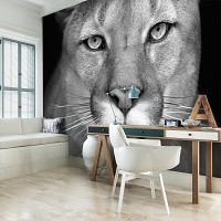 Флизелиновые фото обои животные 254x184 см Черно-белая львица (12718V4)+клей - вид 7 миниатюра