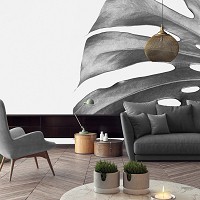 Флизелиновые фотообои на стену 368x280 см Большой черно-белый лист (12730V10) +клей