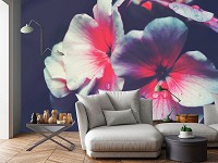 Флизелиновые фотообои 416x290 см 3Д Нежный цветок на пепельно-сером фоне (12755VEXXXXL) +клей