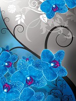 Флизелиновые фото обои узоры цветы 184x254 см Нарисованные синие орхидеи (1281V4A) +клей