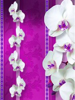 3 д флизелиновые фотообои в спальню 206x275 см Белые элегантные орхидеи на розовом фоне (1291VEA)+клей