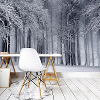 Флизелиновые фотообои Природа Деревья Снег 312x219 см Зима в лесу (12923VEXXL)+клей