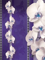 3д флизелиновые фотообои в спальню 184x254 см Белые элегантные орхидеи на фиолетовом фоне (1294V4A)+клей