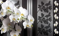 Флизелиновые фотообои в зале дизайн 416x254 см 3Д Фаленопсис белый (1299VEXXXL)+клей - вид 1 миниатюра