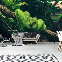 Флізелінові фотошпалери фото природи 3D 368x280 см Тварини - Зелена змія (13002V10)+клей