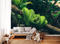 Флизелиновые 3D фото обои природа 254 x 184 см Животные - Зеленая змея (13002V4)+клей