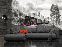 Флизелиновые фотообои лес 416 x 254 см Транспорт Поезд Черно-Белый Паровоз (13010VEXXXL)+клей