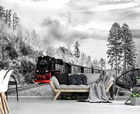 Снег флизелиновые фотообои Транспорт Поезд Черно-Белый Паровоз (13010V)+клей