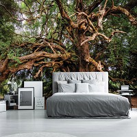 3д флизелиновые фотообои Природа - Ветвистое дерево (13011V)+клей