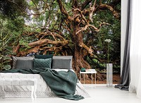 Флизелиновые фотообои листья 368 x 254 см Природа - Ветвистое дерево (13011V8)+клей