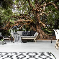 Флизелиновые 3D фотообои красивые 416 x 254 см Природа - Ветвистое дерево (13011VEXXXL)+клей