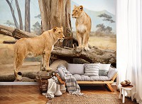 3D Флизелиновые фотообои лев 312 x 219 см Животные - Могучие львицы (13014VEXXL)+клей