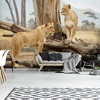 3D Флизелиновые фотообои дерево на стену 254 x 184 см Животные - Могучие львицы (13014V4)+клей