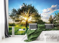 Флизелиновые фото обои с деревьями на стену 3D Ландшафт Поляна 312x219 см Солнечные лучи сквозь крону 13015VEXXL+клей